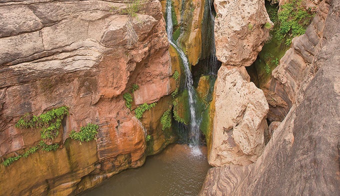 GC-RoyalArch-ElvesChasm-Waterfall_WRichardson_680 Water from Royal Arch Creek tumbles into Elves Chasm.