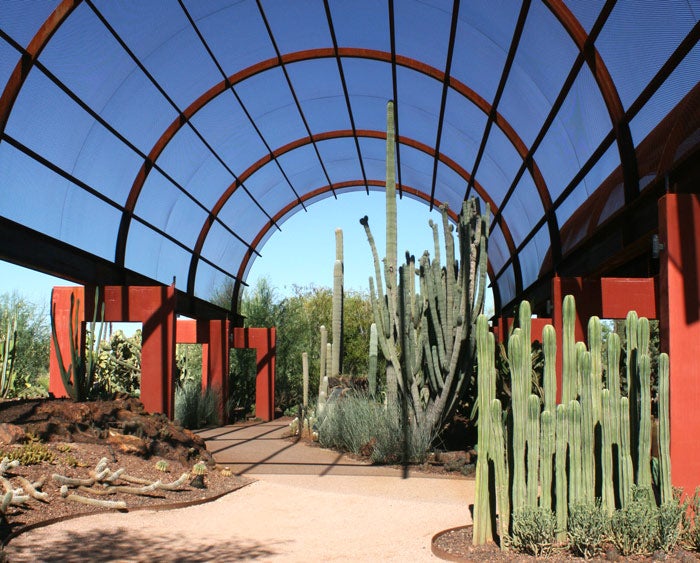 Phoenix-DesertBontanicGardens_FlickrA.combrowski_700 Desert Botanic Gardens in Phoenix