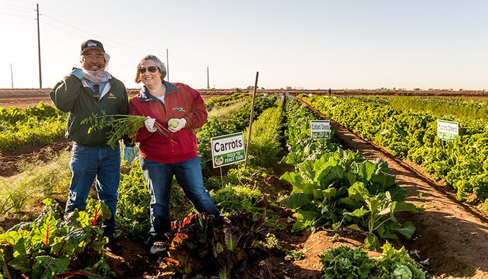 Yuma-Field-to-Feast_VisitYuma_700 Yuma farmers pose in the Field to Feast U-Pick Garden.