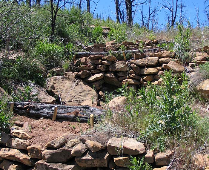 MesaVerde-FarmingTerraces_NPS_700v Farming terrace with check dams in Mesa Verde National Park