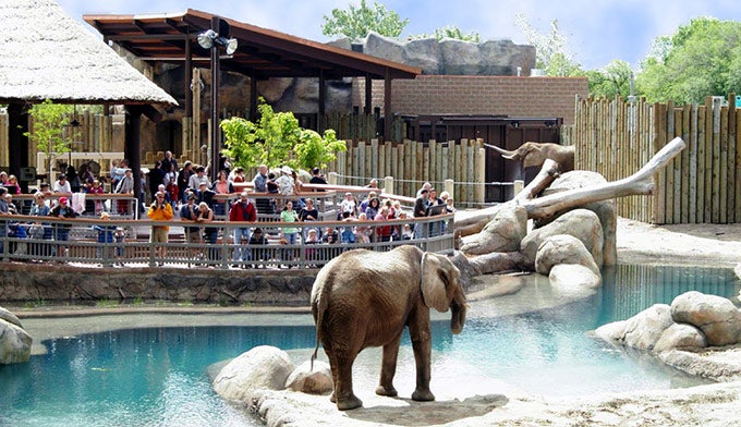 Salt-Lake-Hogle-Zoo_UtahOfficeOfTourism_680 The Hogle Zoo. Photo courtesy of the Utah Office of Tourism