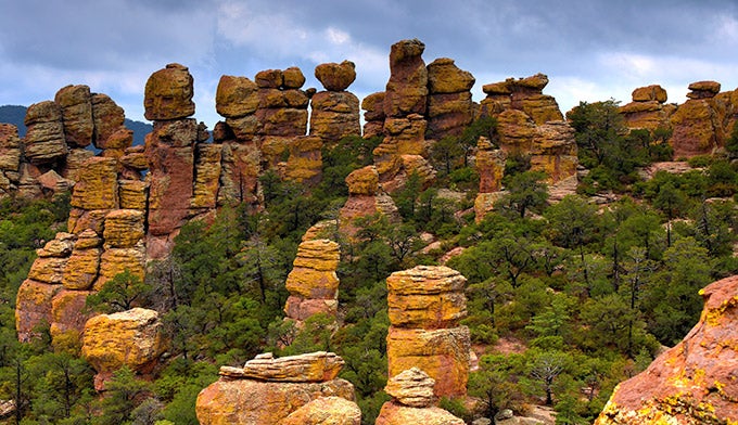 AZ-Chiricahua-Natl-Monument_Dollar_680 Chiricahua National Monument in Arizona