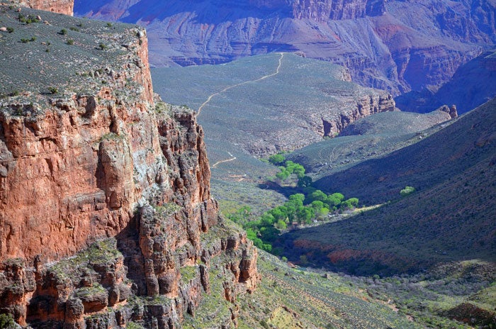GC-IndianGarden-fromBrightAngelTrail_NPSMichaelQuinn_700 Indian Garden from the Bright Angel Trail in the Grand Canyon