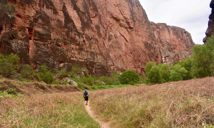 GC-IndianGarden-hiker_UnsplashLorenIsaac_700 Indian Garden hiker at the bottom of the Grand Canyon