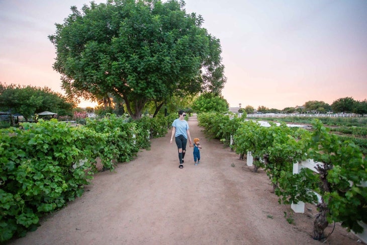 Sustainable Farming at Gilbert Farm