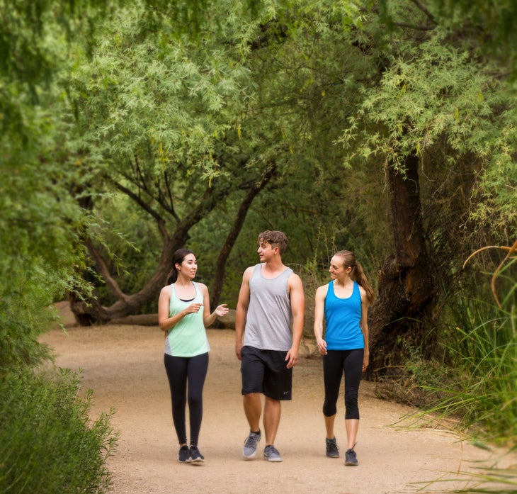 Shaded trail through Gilbert's Riparian Preserve