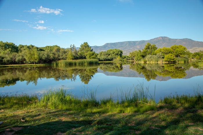 AZStateParks-DeadHorseRanch-Lake_courtesy_700 A watery oasis at Dead Horse Ranch State Park in Cottonwood, Arizona