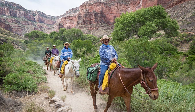 Smiling-mule-rider-Bright-Angel_WhitRichardson_680 Smiling rider takes a mule along Bright Angel Trail to Phantom Ranch