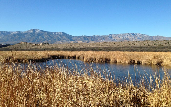 TazigootNM-ViewFromTavasciMarsh_NPSLauraVaron-Burkhart_700 View from Tavasci Marsh in Tazigoot National Monument