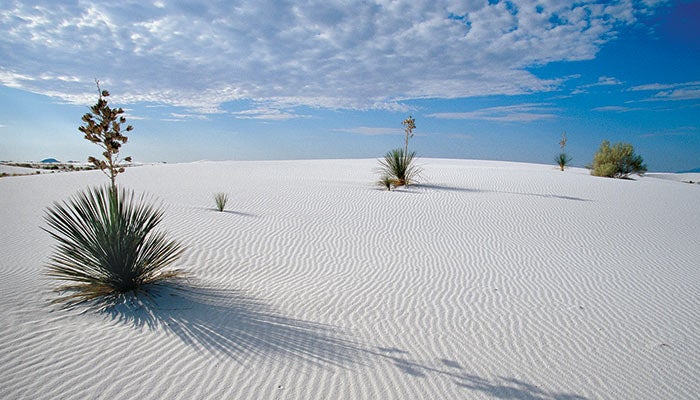 WhiteSands_LasCrucesCVB_700 White Sands National Park