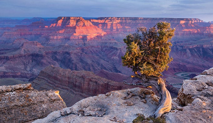 GC-Lipan-Point_Ordelheide_680 First Light at Lipan Point in the Grand Canyon. Photo by Grant Ordelheide