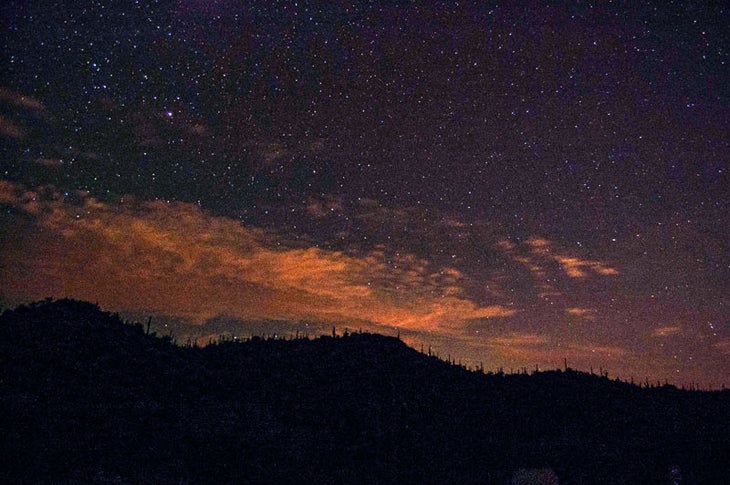 Saguaro3-night_AlexCernichiari_800 Night skies over Saguaro National Park
