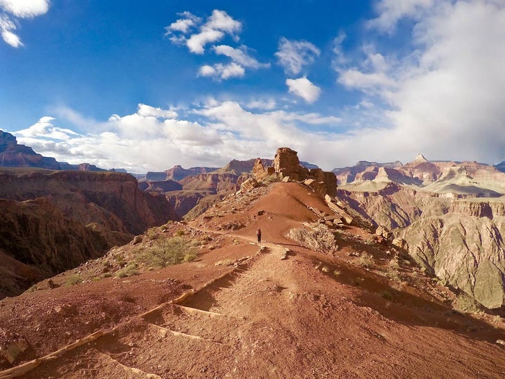 WildlandTrekking-GC-AndrewBradley_courtesy_1000 Hiking in the Grand Canyon