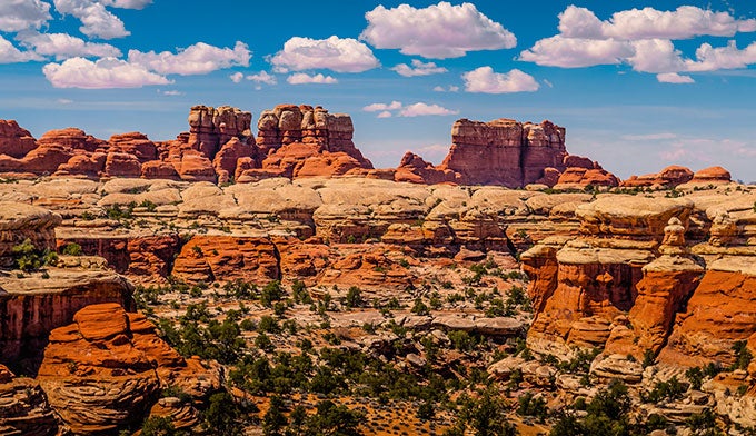 Canyonlands-Needles-Elephant-Hill_DP_680 Needles district on Elephant Hill in Canyonlands National Park