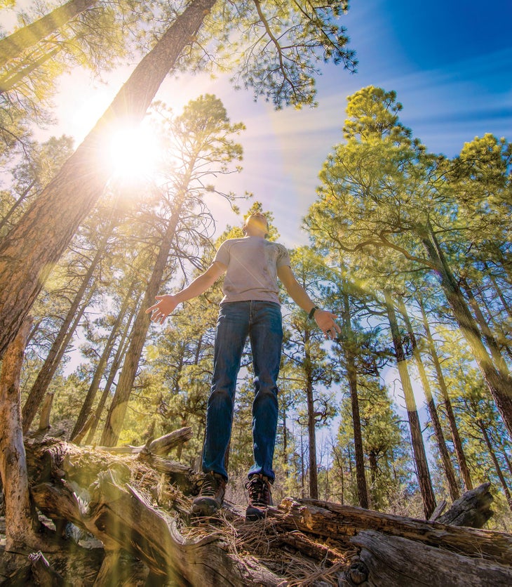 Being present in the forest of Flagstaff, Arizona