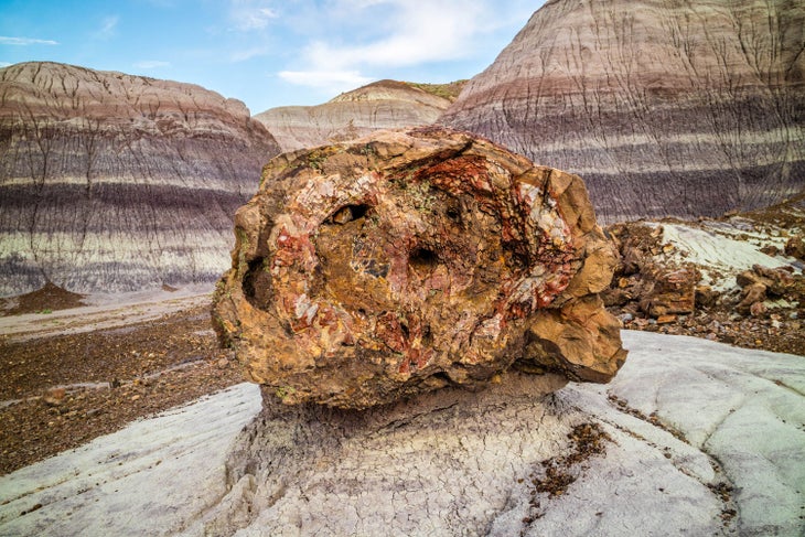 A petrified log in Blue Mesa of Petrified Forest National Park