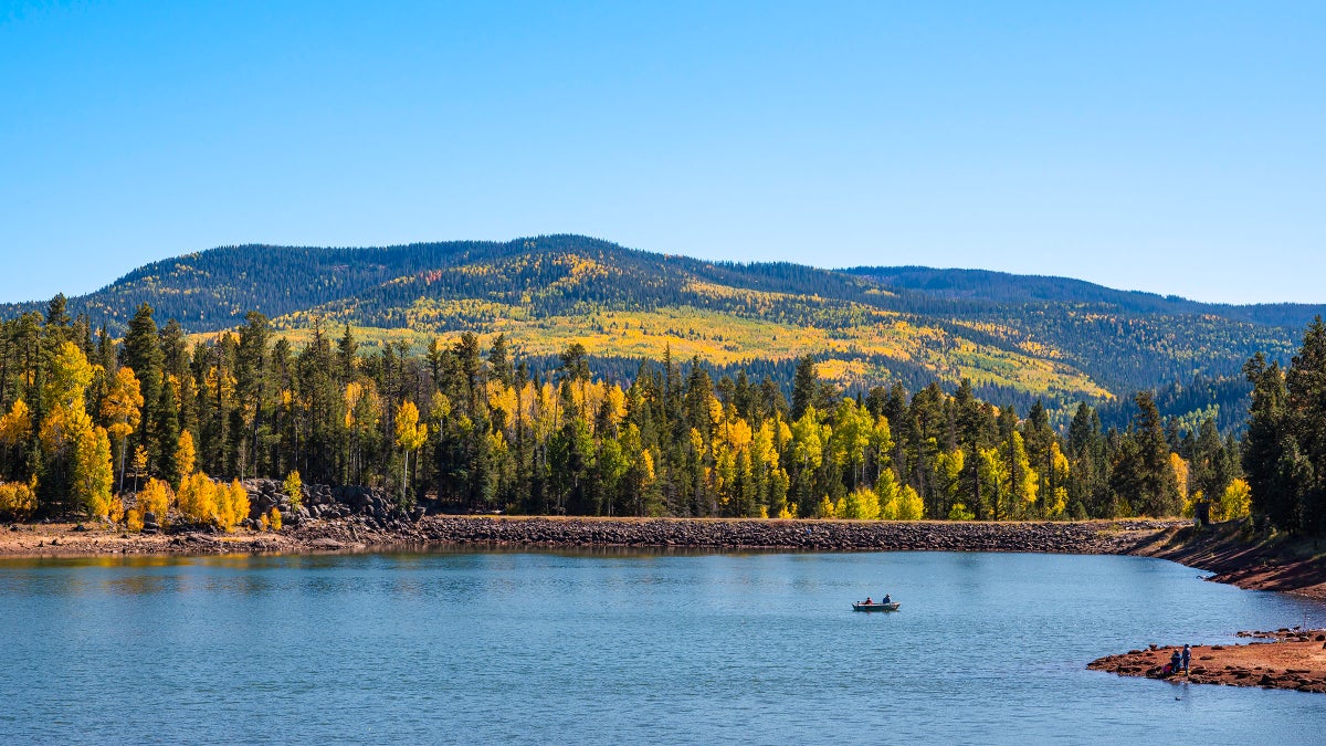 Recharge at South of Petrified Forest National Park
