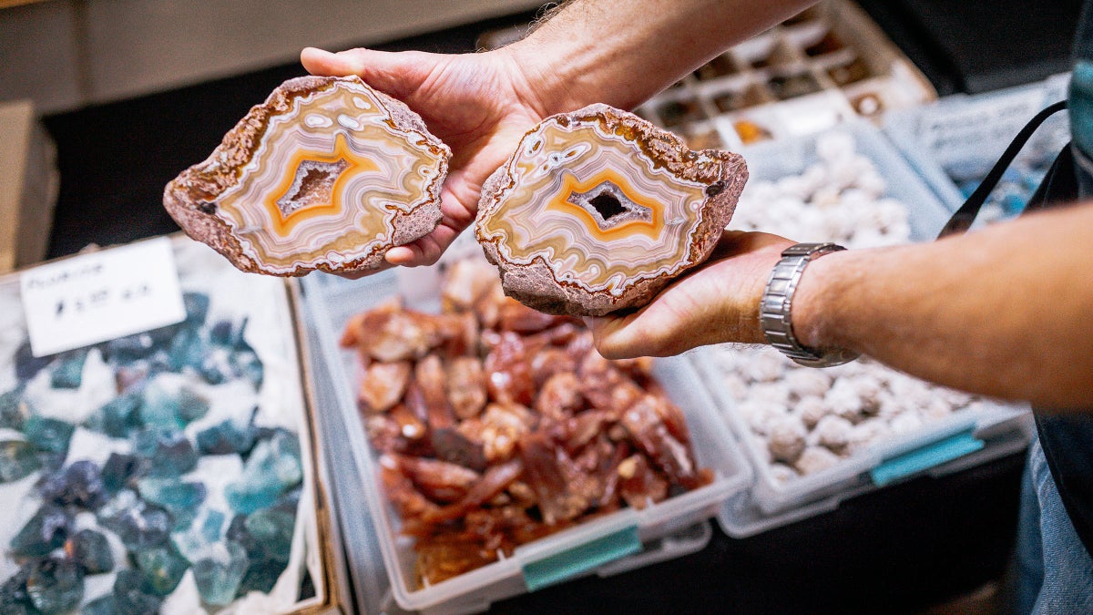 Geodes from Rockhound State Park near Deming Grand Canyon National