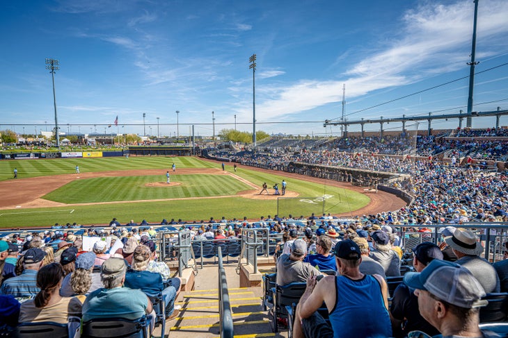 Baseball spring training game